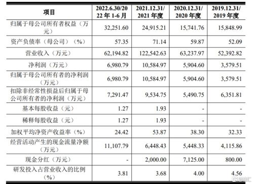 联域光电冲击深主板,依赖境外销售收入,主营业务毛利率逐年下降